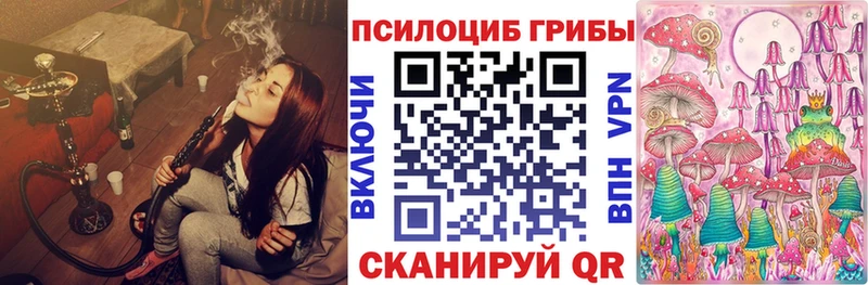 Галлюциногенные грибы Cubensis  Дмитриев 